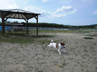 2009_0516tetsu0035.JPG