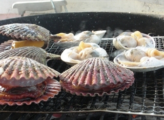 2009_0516tetsu0045.JPG