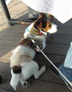 2009_0516tetsu0050.JPG