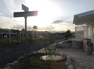 2009_0516tetsu0053.JPG