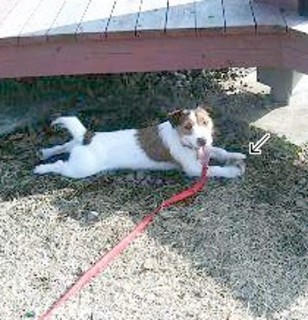 200701153.jpg