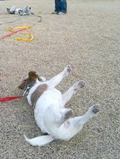 200701154.jpg