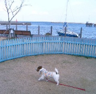 2007_0128かんたんサーカス0340.JPG