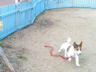 2007_0128かんたんサーカス0341.JPG