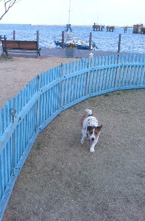 2007_0128かんたんサーカス0342.JPG
