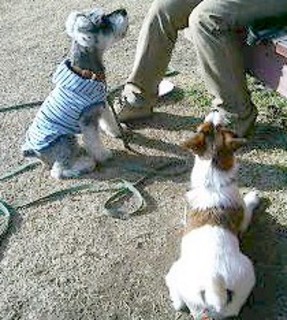2007_0213ダニ20347.JPG