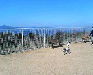 2007_0215ダニ&ラン0344.JPG