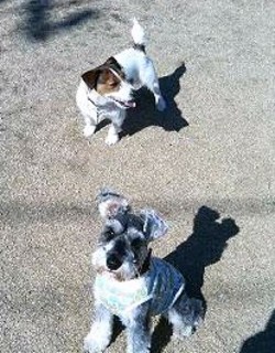 2007_0215ダニ&ラン0345.JPG