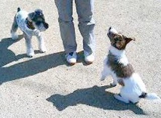 2007_0215ダニ&ラン0346.JPG