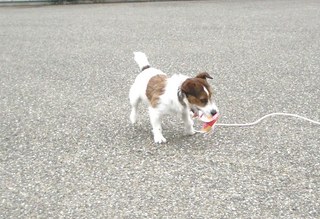 2007_0424amedemo0026.JPG