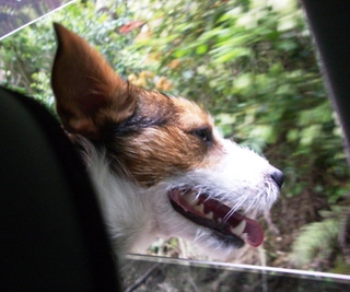 2007_0502川遊び0004.JPG