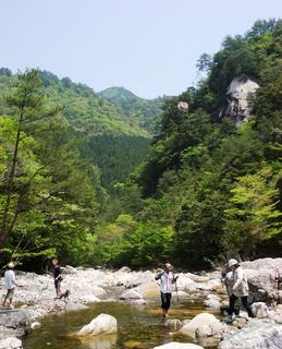 2007_0502川遊び0023.JPG