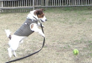 2007_1216軍手0035.JPG