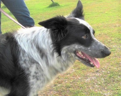 2008_0609 ファル4.jpg