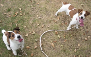 2008_0817kurashiki-0.JPG