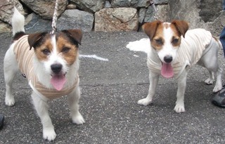 2008_0817kurashiki−11.JPG