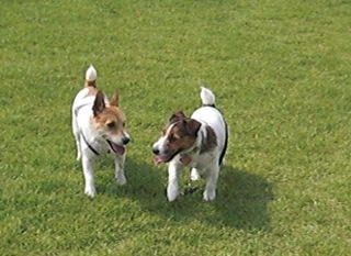 2008_1012熊本0004.JPG