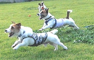 2008_1012熊本0055.JPG
