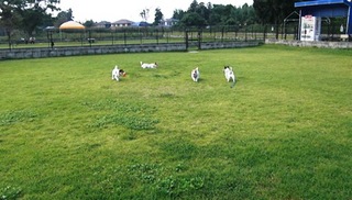 2008_1012熊本0110.JPG