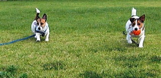 2008_1012熊本0125.JPG