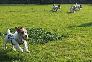 2008_1012熊本0253.JPG