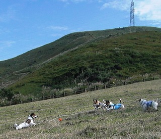 2008_1012熊本0322.JPG
