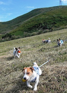 2008_1012熊本0328.JPG