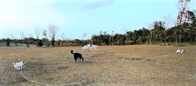 2008_1127 アーシャ&ファル2.jpg