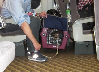 2009_0413tetsu0306.JPG