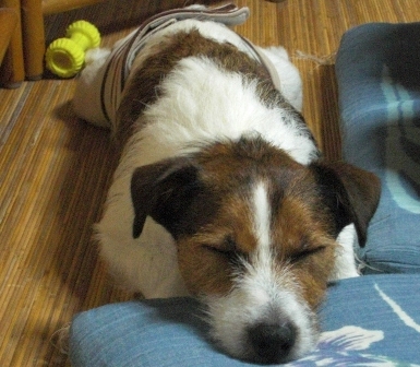 2009_0816tetsu0038.JPG