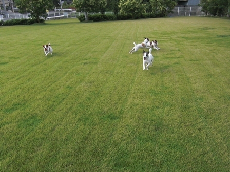 2009_0816tetsu0059.JPG