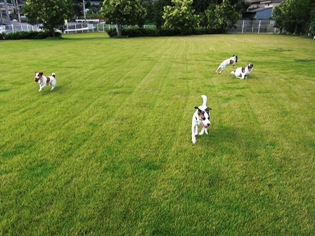 2009_0816tetsu0060.JPG