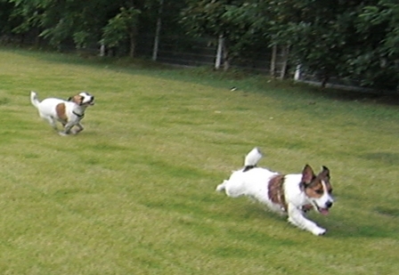 2009_0816tetsu0062.JPG