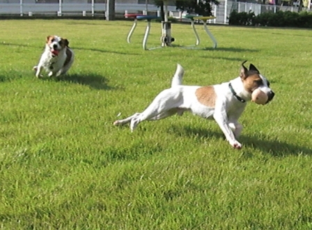 2009_0816tetsu0065.JPG
