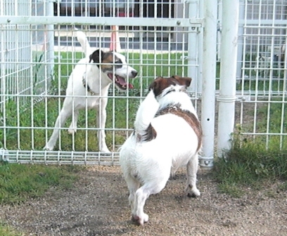 2009_0816tetsu0089.JPG