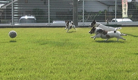 2009_0816tetsu0109.JPG