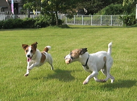 2009_0816tetsu0136.JPG