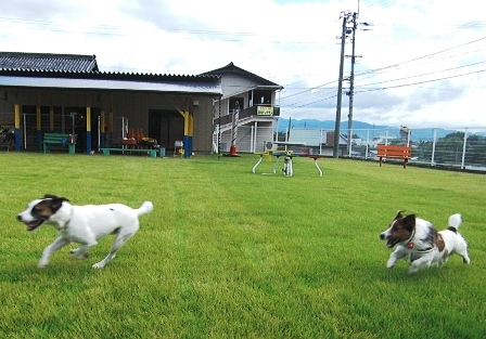 2009_0816tetsu0150.JPG