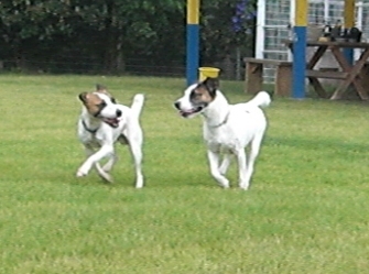 2009_0816tetsu0171.JPG
