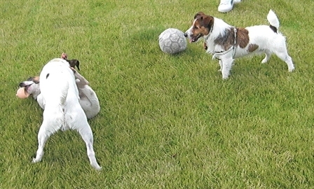 2009_0816tetsu0186.JPG