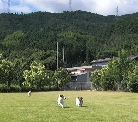 2009_0816tetsu0219.JPG