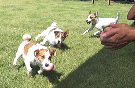 2009_0816tetsu0242.JPG