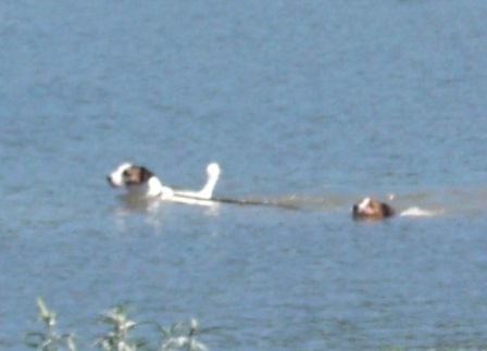 2009_0816tetsu0254.JPG