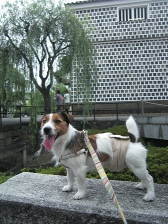 2009_0816tetsu0285.JPG
