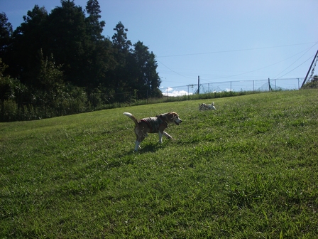 2009_1011tetsu0028.JPG