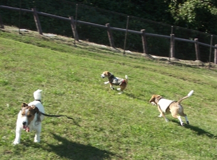 2009_1011tetsu0042.JPG