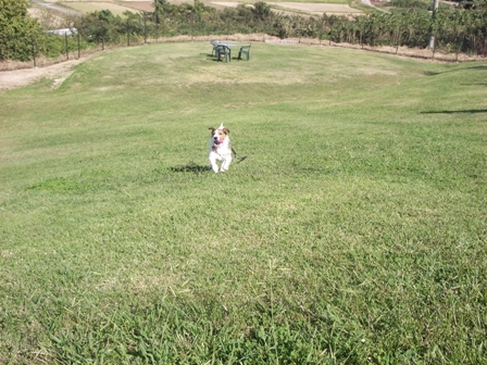 2009_1011tetsu0051.JPG