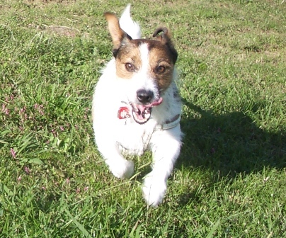 2009_1011tetsu0064.JPG