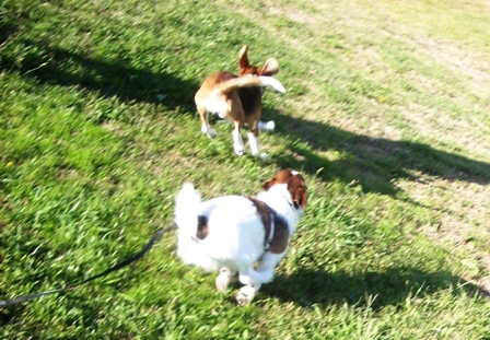 2009_1011tetsu0068.JPG