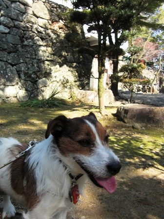 2009_1107tetsu0095.JPG